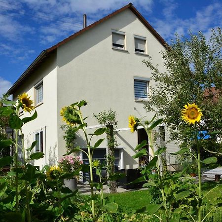 Ferienwohnung - Damisa House メッツィンゲン エクステリア 写真